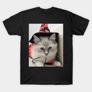 Halloween ragdoll queen T-Shirt